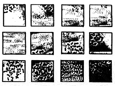 Bob Cobbing Mary Rudolf's Chromosomes