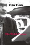 The Welsh Poems - Peter Finch