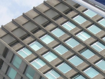 so many windows