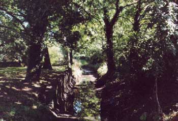 downstream from Waterloo Gardens