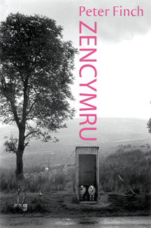 Zen Cymru Cover